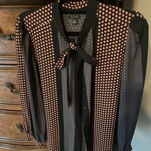 Ann Taylor neck tie blouse button down